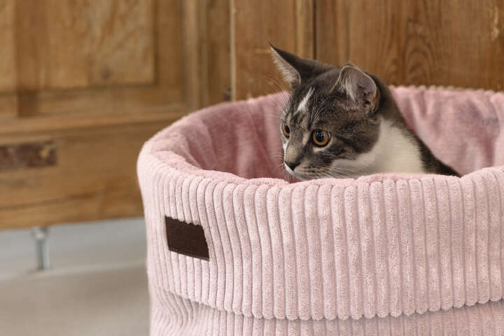 Designed by Lotte Katzenkorb "Ribbed"